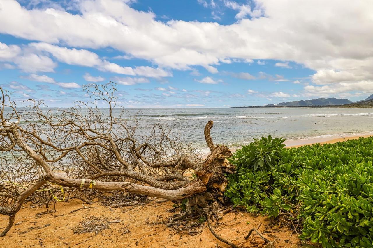 Islander On The Beach Kapa'a Exterior photo